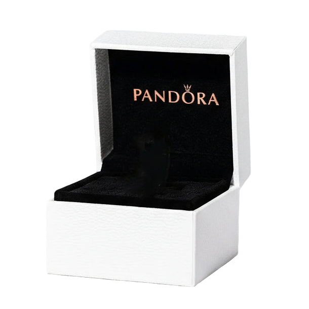 Caja de lujo pequeña