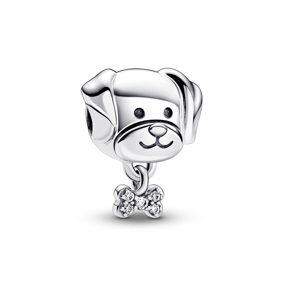 Charm Perro Mascota y Hueso