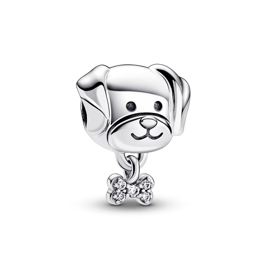 Charm Perro Mascota y Hueso