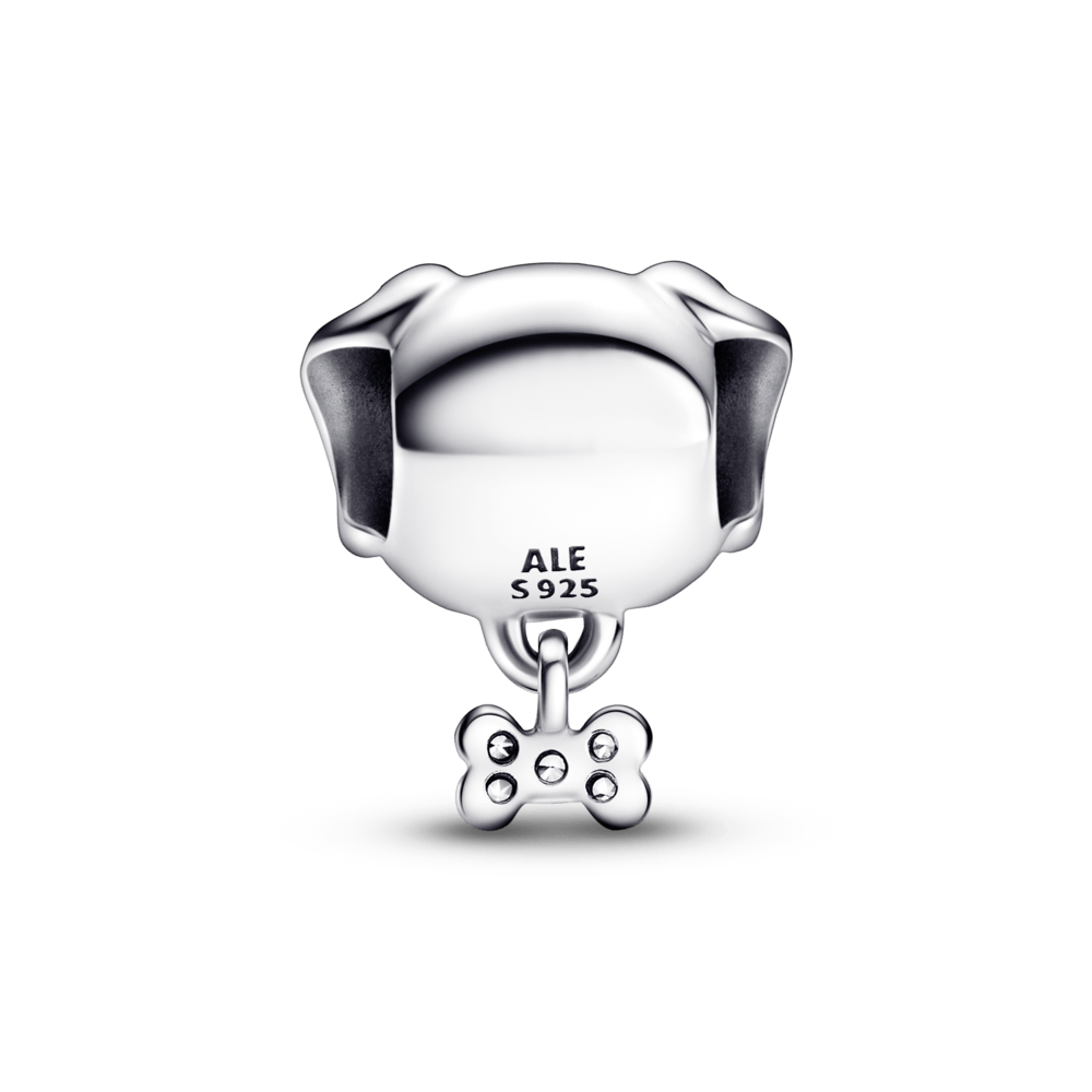 Charm Perro Mascota y Hueso
