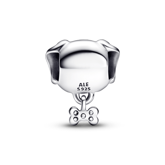 Charm Perro Mascota y Hueso